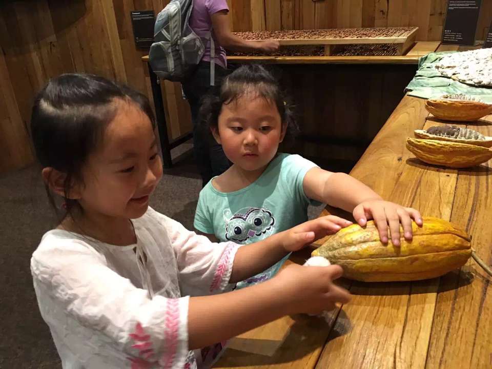 國(guó)際搬家