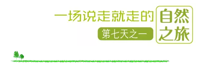 國(guó)際搬家