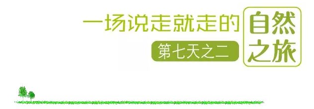 國(guó)際搬家