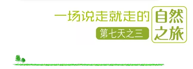 國(guó)際搬家