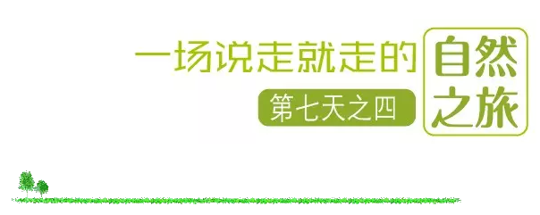 國(guó)際搬家