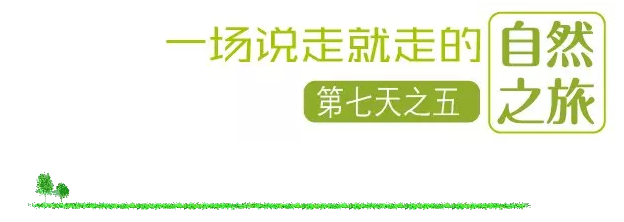 國(guó)際搬家