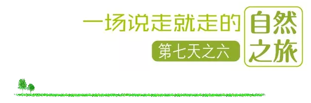 國(guó)際搬家